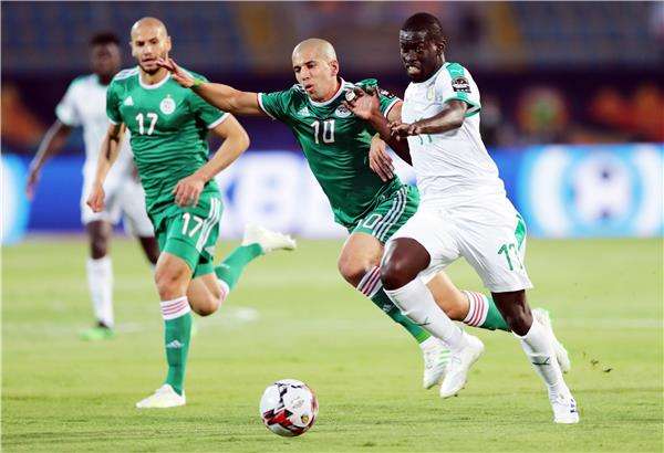 مواجهة السنغال والجزائر