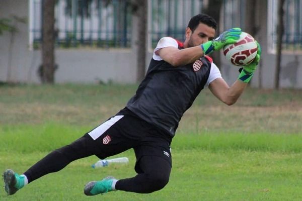 أيمن المثلوثي