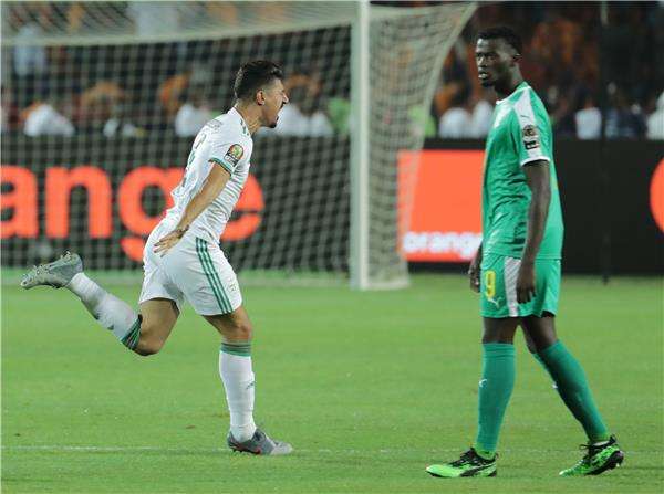 فرحة بونجاح