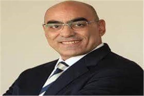 هشام نصر