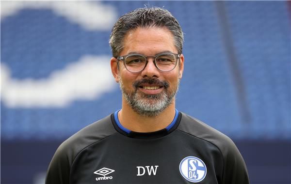 ديفيد فاجنر