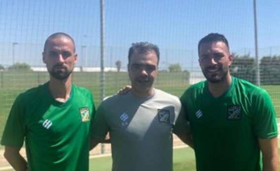 توريس وراؤول