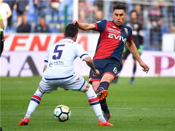 زوكانوفيتش