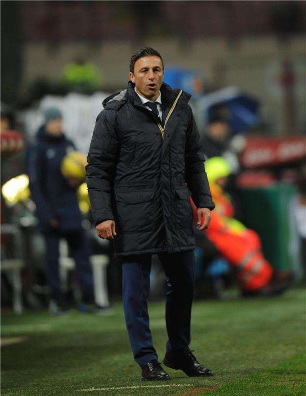 نيناد ساكيتش