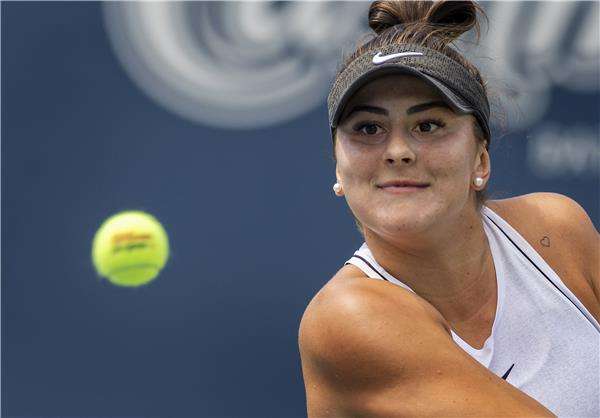  بيانكا أندريسكو