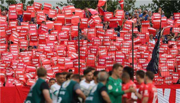 جماهير شالكه