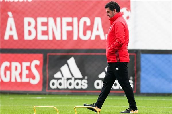 روي فيتوريا