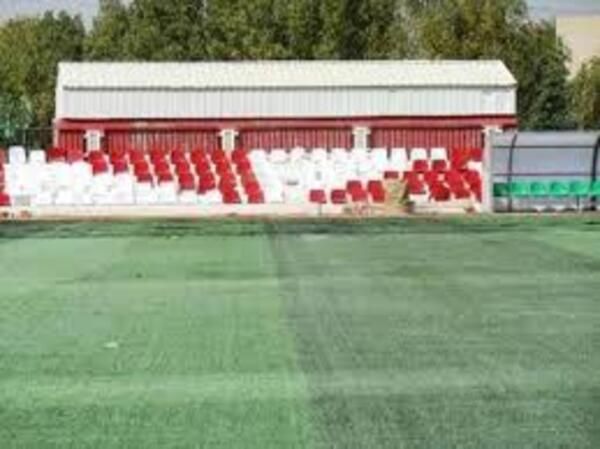 أحد الملاعب