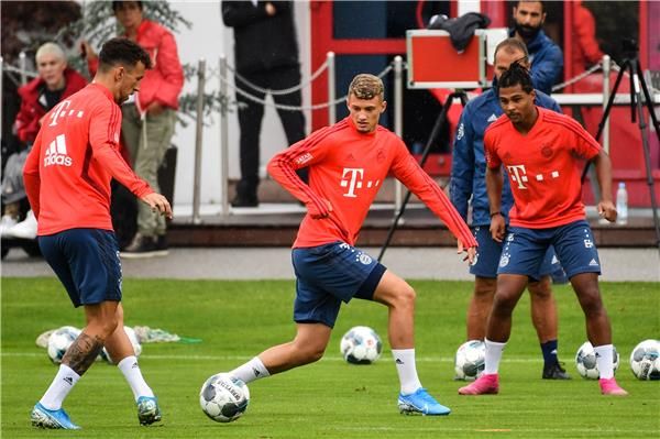 ديتمار هامان