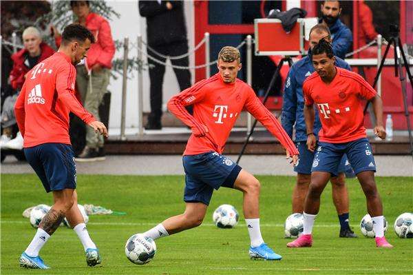 ديتمار هامان