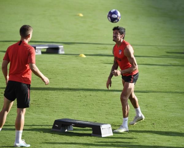 ستيفان سافيتش