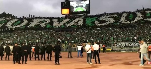 أنصار الرجاء