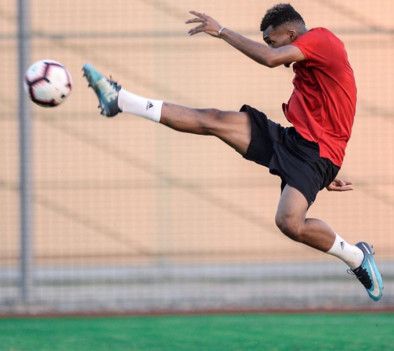 فواز الصقور