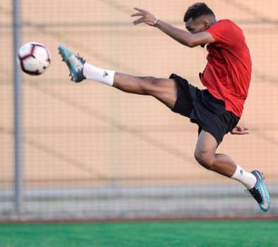 فواز الصقور