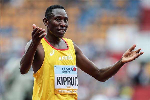 كونسيسلوس كيبروتو