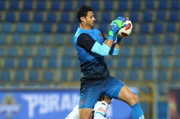 محمد الشناوي