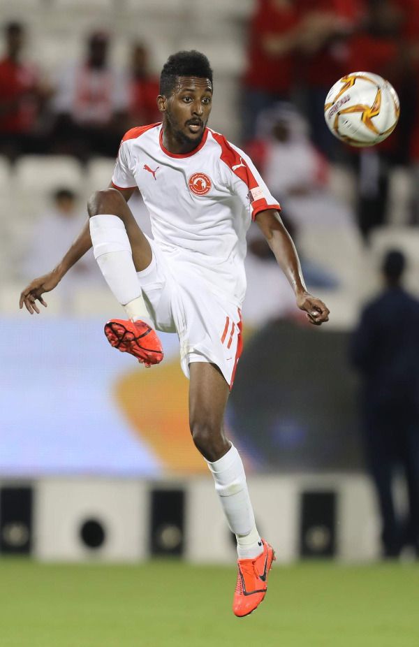 محمد صلاح النيل