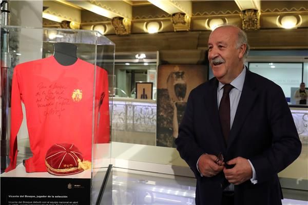 فيسينتي ديل بوسكي