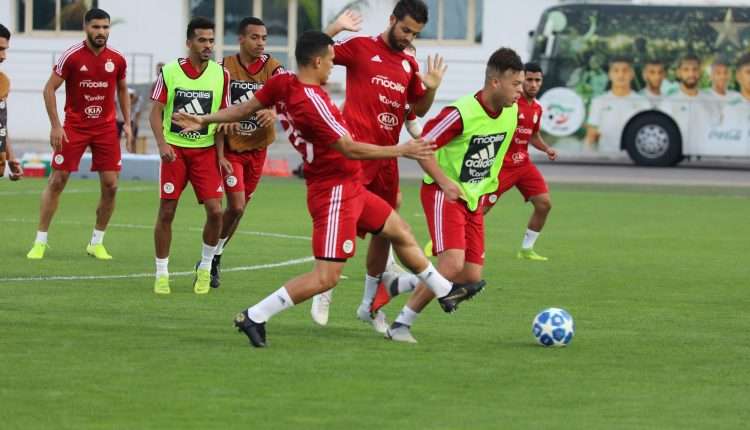 سفيان بوشار