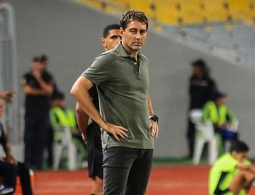 رينيه فايلر