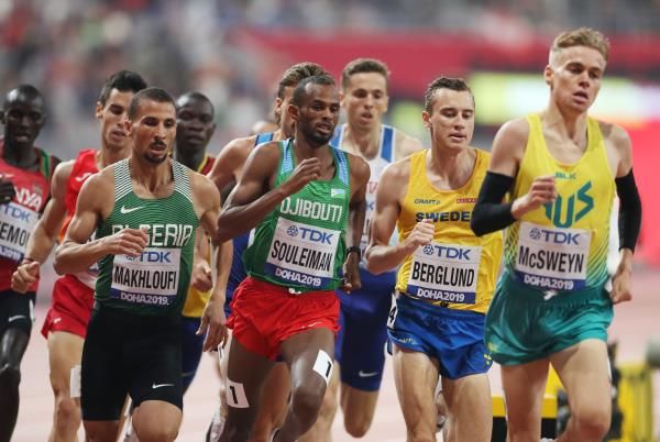 توفيق مخلوفي