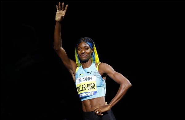 شوني ميلر ويبو