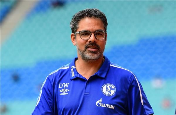 ديفيد فاجنر