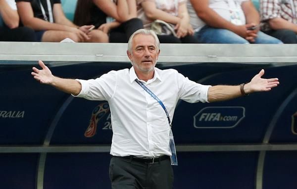 بيرت فان مارفيك