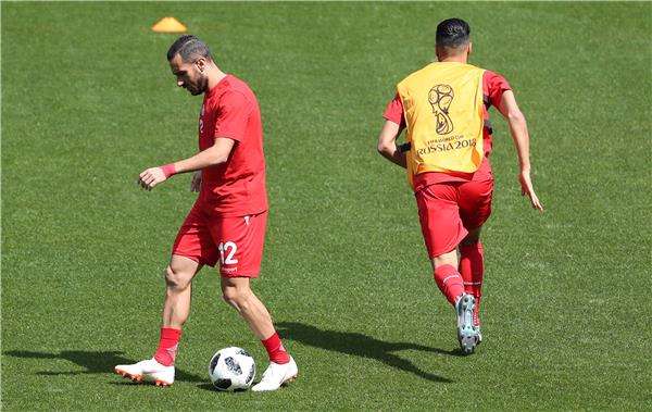 علي معلول - أرشيفية 