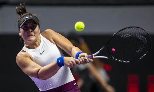 بيانكا أندريسكو