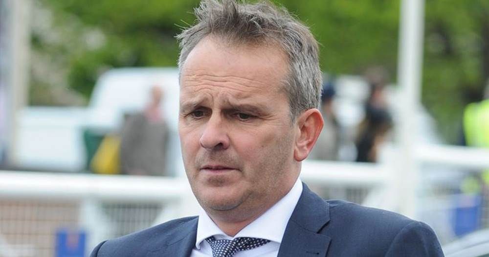 ديتمار هامان