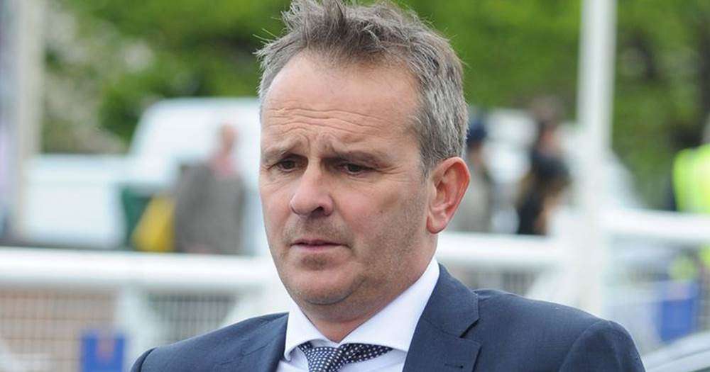 ديتمار هامان