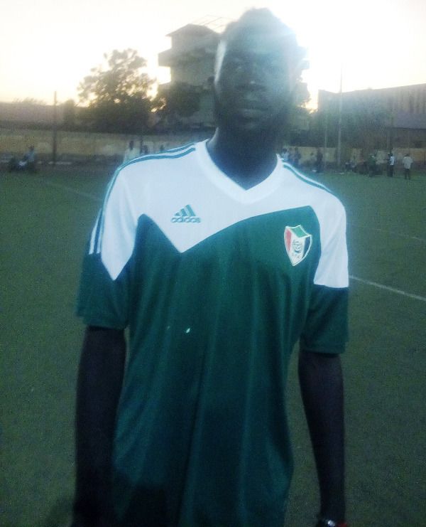 شرف الدين شيبوب