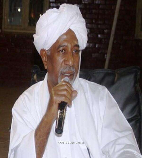 محمد الحسن الرَّضِي