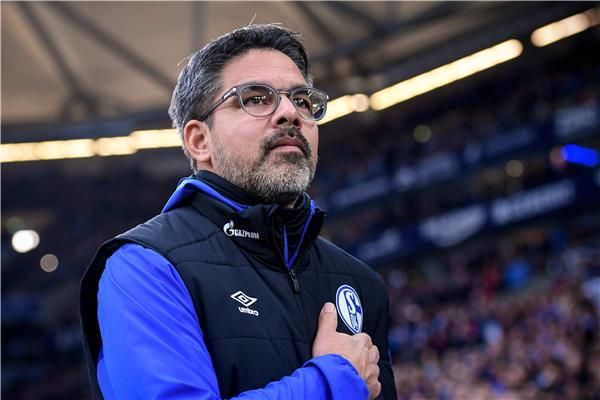 ديفيد فاجنر