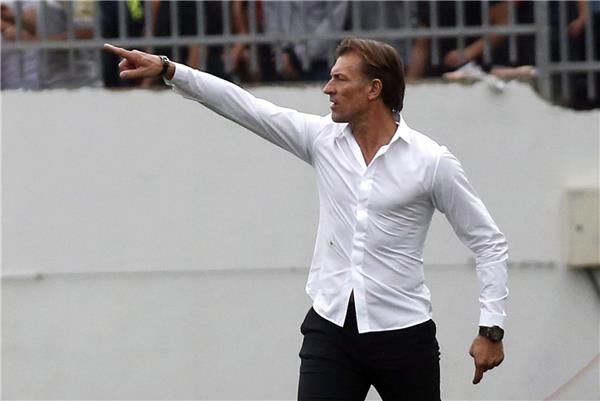 رينارد - أرشيفية