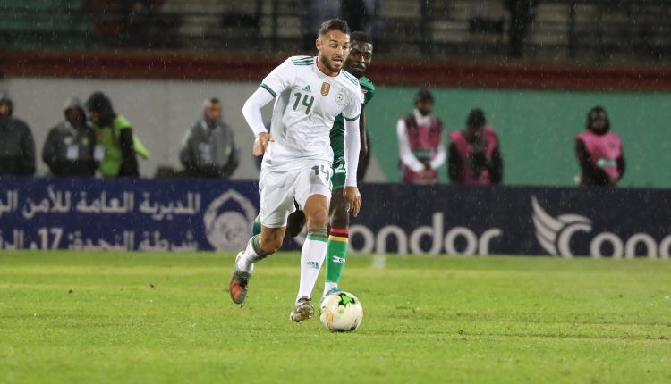 هاريس بلقبلة