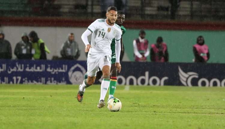 هاريس بلقبلة