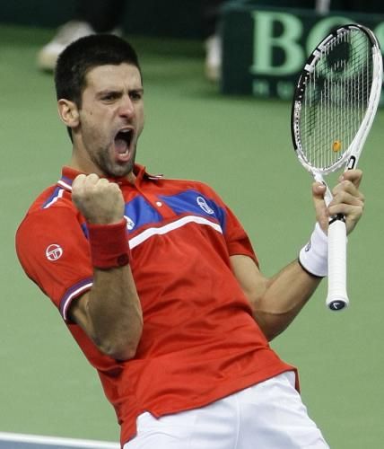 2010-12-05t160320z_01_mdj20_rtridsp_3_tennis-davis_reuters