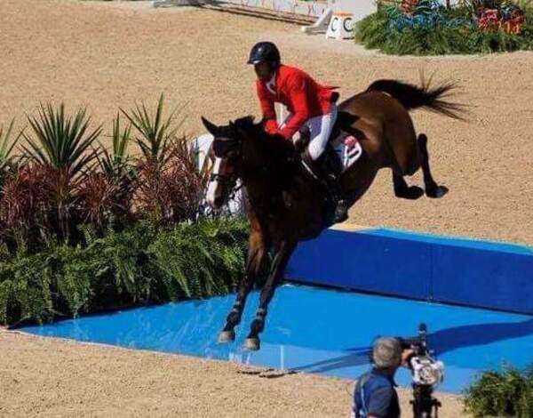 لعبة الفروسية