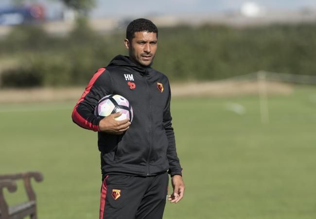 هايدن مولينز