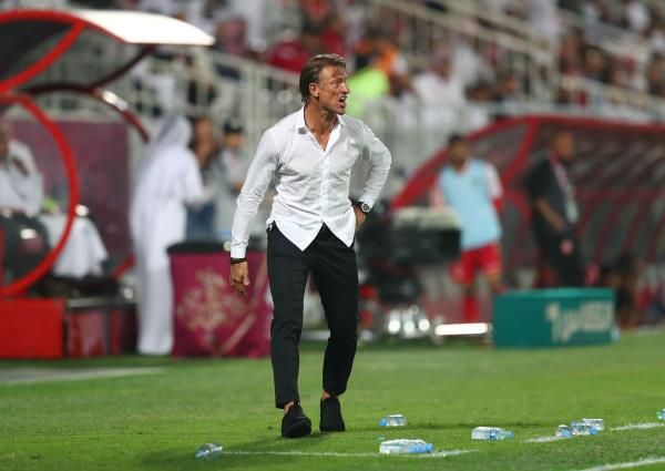 هيرفي رينارد