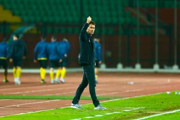 رينيه فايلر