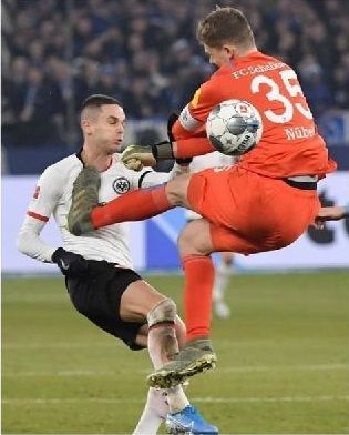 ألكسندر نوبل و ميات جاسينوفيتش