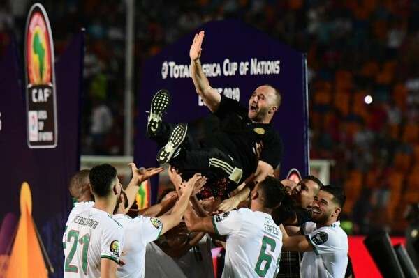 جمال بلماضي