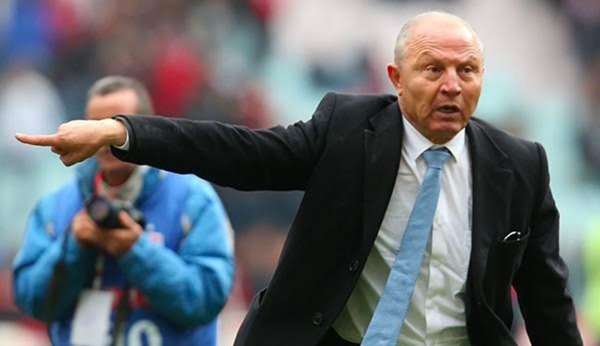 رضا شرف الدين