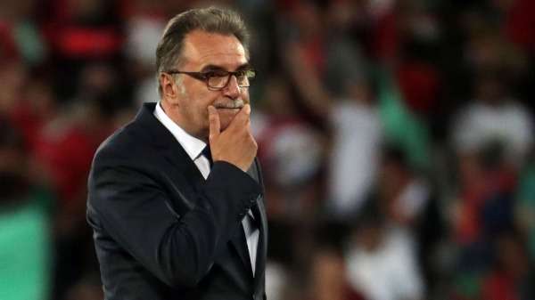 أنتي شاشيتش