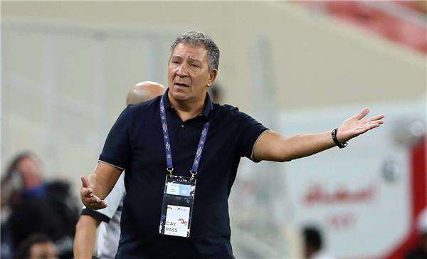 هنك تين كات