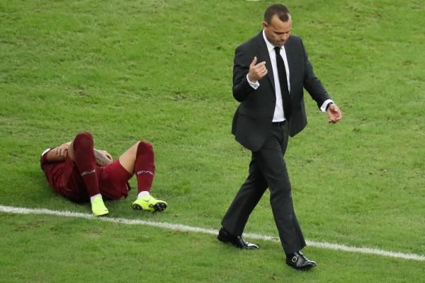 رافاييل دوداميل