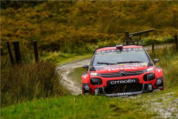 إيسابيكا لابي